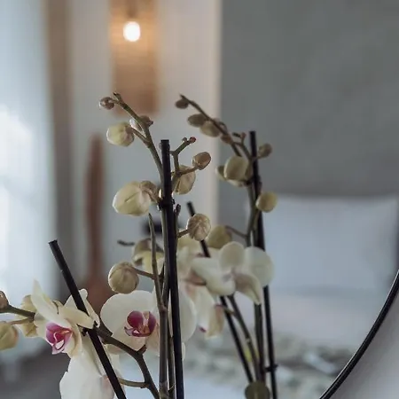 Сasa de vacaciones Kilistra Lindian Living