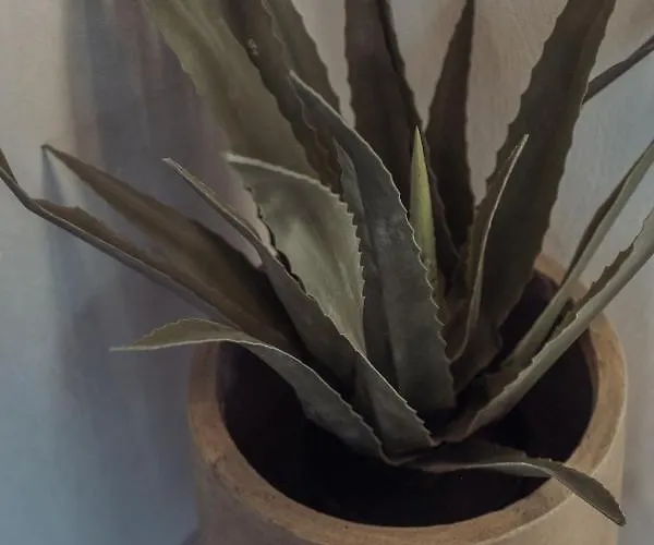 펜션 Kilistra Lindian Living *