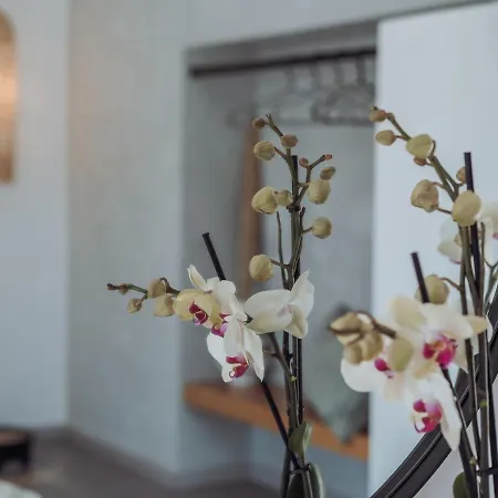 Kilistra Lindian Living 別荘 リンドス